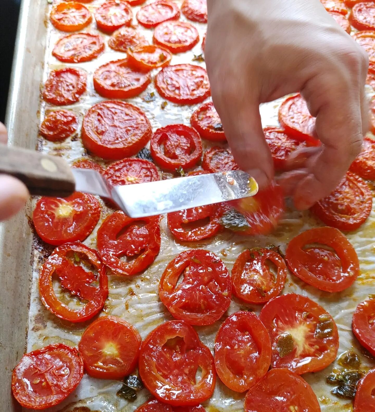 Roasted @greenlawgardens tomatoes on our Hamachi Collar tonight. 
.
.
.
#localproduce #kitterymaine #modernnewenglandcuisine #casualfinedining #portsmouthrestaurants #portsmouthnh #seacoastnh #newenglandfood #newenglandeats